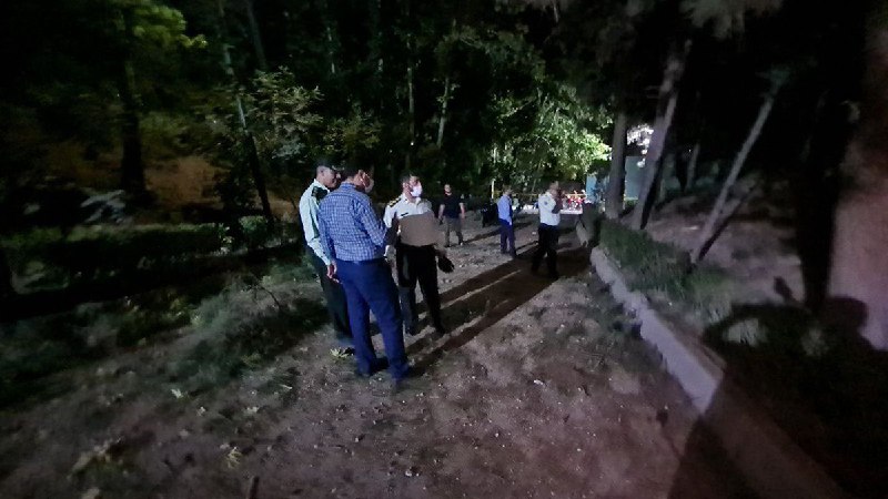 Niusha Saremi | نیوشا صارمی