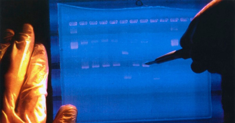 دانشمندان کمبریج «اثر انگشت» شماری از عوامل سرطان‌‌زا را پیدا کردند