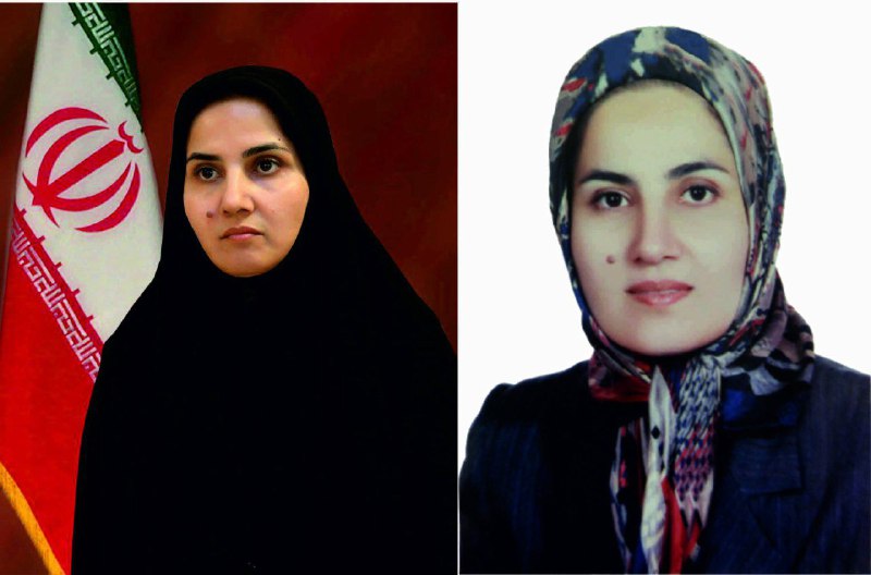 سید مصطفی موسوی نژاد