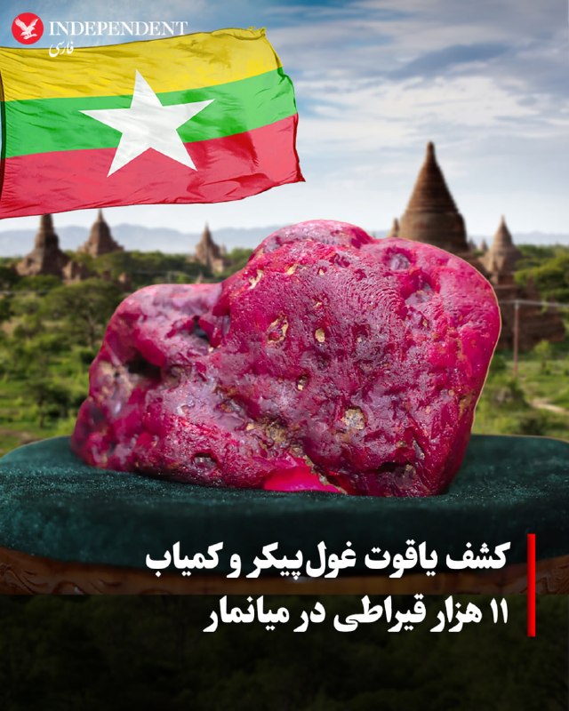 به گزارش «واشنگتن‌پست»، معدن‌کاران در میانمار موفق به کشف یک یاقوت سرخ بسیار کمیاب و غول‌پیکر شده‌اند که از نظر وزن، دومین یاقوت بزرگی است که تاکنون در این کشور کشف شده است. این سنگ قیمتی ۱۱ هزار قیراطی (معادل ۲.۲ کیلوگرم) در نزدیکی شهر «موگوک» پیدا شده؛ منطقه‌ای که به دلیل استخراج یاقوت‌های سرخ تیره و باکیفیت که در جهان به «خون کفتری» (Pigeon Blood) شهرت دارند، شناخته می‌شود. اگرچه وزن این سنگ حدود نیمی از رکورد کشف‌شده در سال ۱۹۹۶ است، اما کارشناسان معتقدند به دلیل رنگ سرخ ارغوانی منحصربه‌فرد، شفافیت بالا و کیفیت بازتاب نور، ارزش مادی بسیار بیشتری نسبت به نمونه‌های قبلی دارد.میانمار تامین‌کننده حدود ۹۰ درصد یاقوت‌های جهان است، اما تجارت این سنگ‌ها همواره با مناقشات سیاسی و حقوق بشری گره خورده است. سنگ‌های قیمتی یکی از منابع اصلی درآمد برای دولت نظامی میانمار و همچنین گروه‌های مسلح قومی به شمار می‌روند که برای خودمختاری می‌جنگند. در همین راستا، سازمان‌های حقوق بشری مانند «گلوبال ویتنس» از جواهرسازان بین‌المللی خواسته‌اند تا خرید سنگ از میانمار را متوقف کنند، چرا که سود حاصل از این صنعت سوخت لازم برای ادامه جنگ‌های داخلی و تقویت قدرت نظامیان را تأمین می‌کند. با وجود تغییرات سیاسی ظاهری در میانمار، ارتش همچنان کنترل بخش‌های کلیدی این معادن را در دست دارد و کشف این یاقوت عظیم در میانه بحران‌های امنیتی، بار دیگر توجه جهانی را به ثروت‌های پنهان در مناطق درگیر جنگ جلب کرده است.@VahidOOnLine📡 @VahidOnline