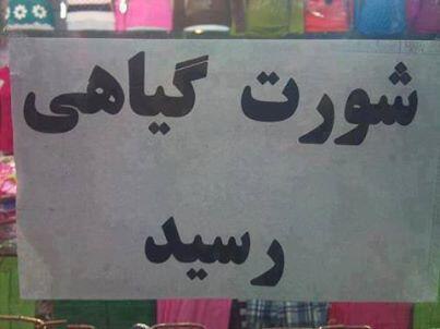 خرمگس معرکه سابق