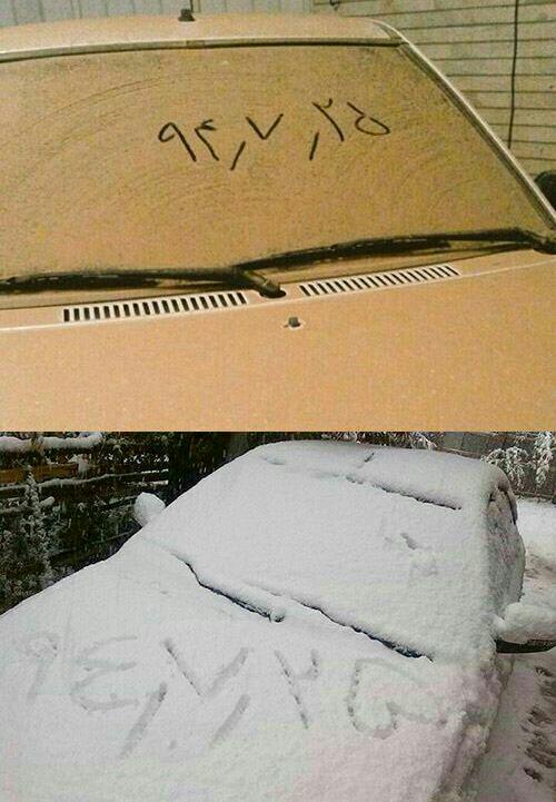 Siavash Fallahpour (@SFallahpour) on X