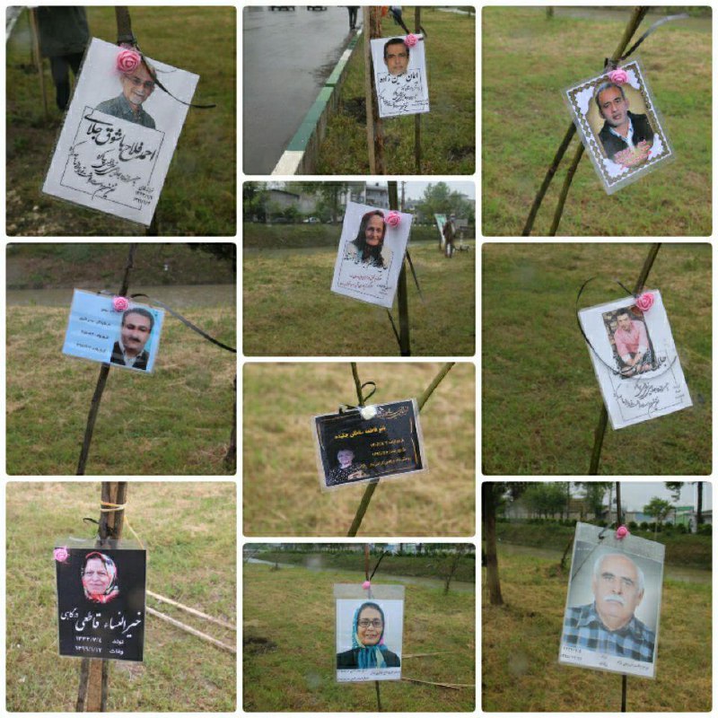 Yasin Namakchian (@yasinnamakchian) on X