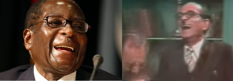 کرگدن میرزا