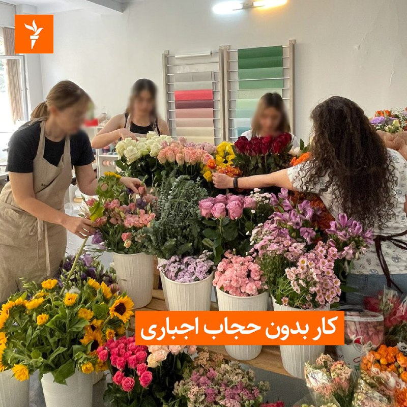 RadioFarda‌|‌راديو فردا (@RadioFarda_) on X