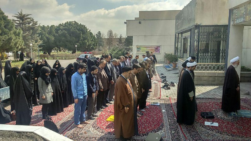 حبيب خليفه