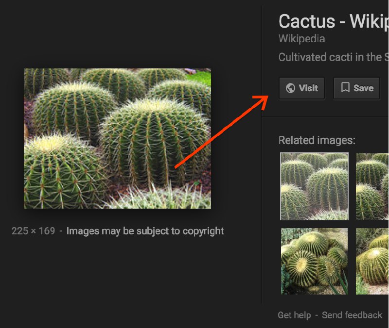 Google SearchLiaison