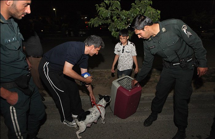 میدان