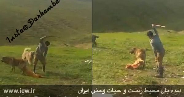 روزنامه شرق