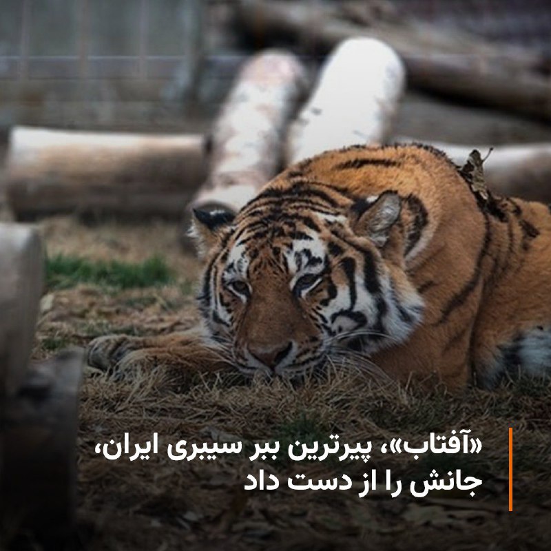 RadioFarda‌|‌راديو فردا (@RadioFarda_)