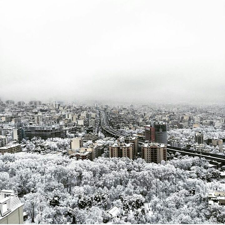 @amazing.photographers