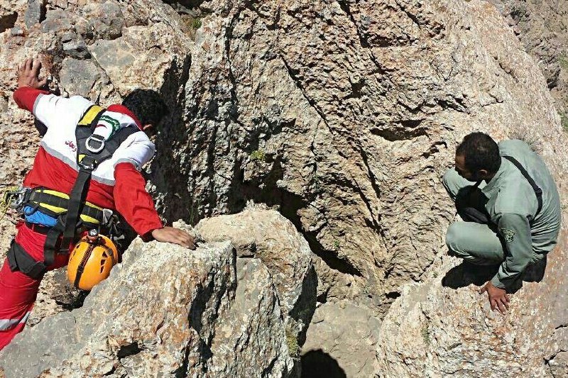 در استان فارس؛ گلوله سهم سینه و گلوی یک محیط‌بان دیگر شد/حال محیط‌بان وخیم است