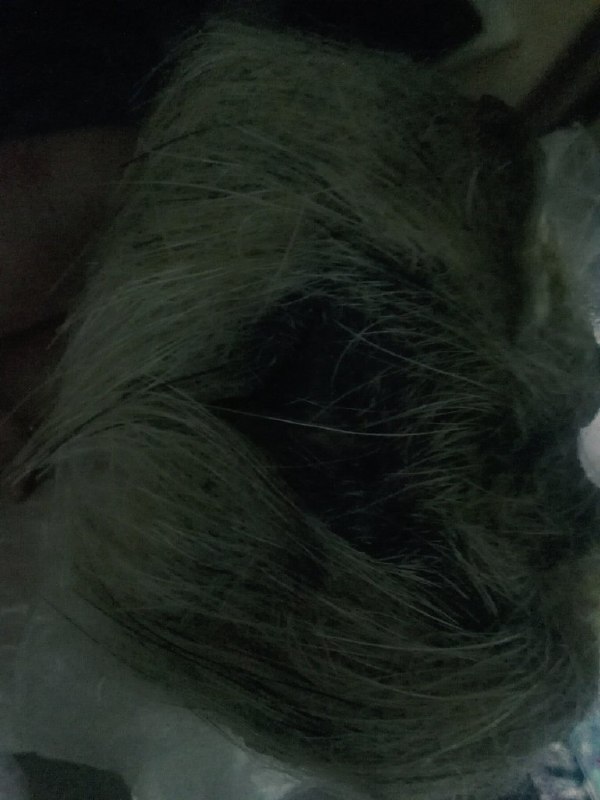 لویجی أعظَم