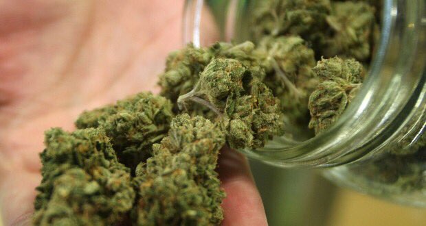 ..مافیای هوایی