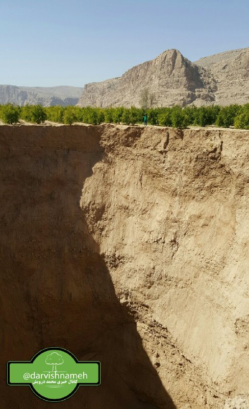 ابعاد #فروچاله_ایج واقعاً حیرت آور است! شگفتا که در جوار منطقه همچنان کشت #غرقابی_ذرت در مقیاسی وسیع ادامه دارد!@darvishnameh