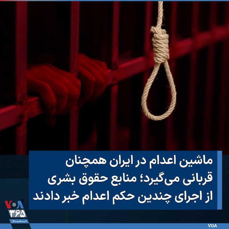 VOA Farsi صدای آمریکا (@VOAfarsi)