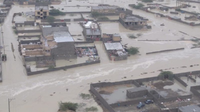 Omid (دکتر عصبی سابق)