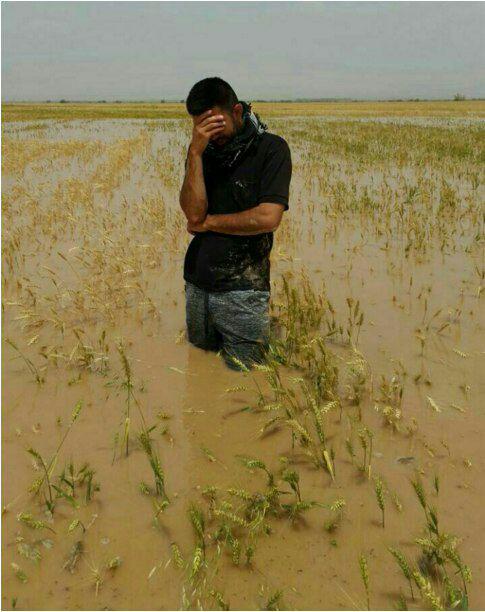 میرزا فرهیخته