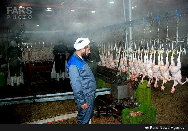 گاندالف خاکستری