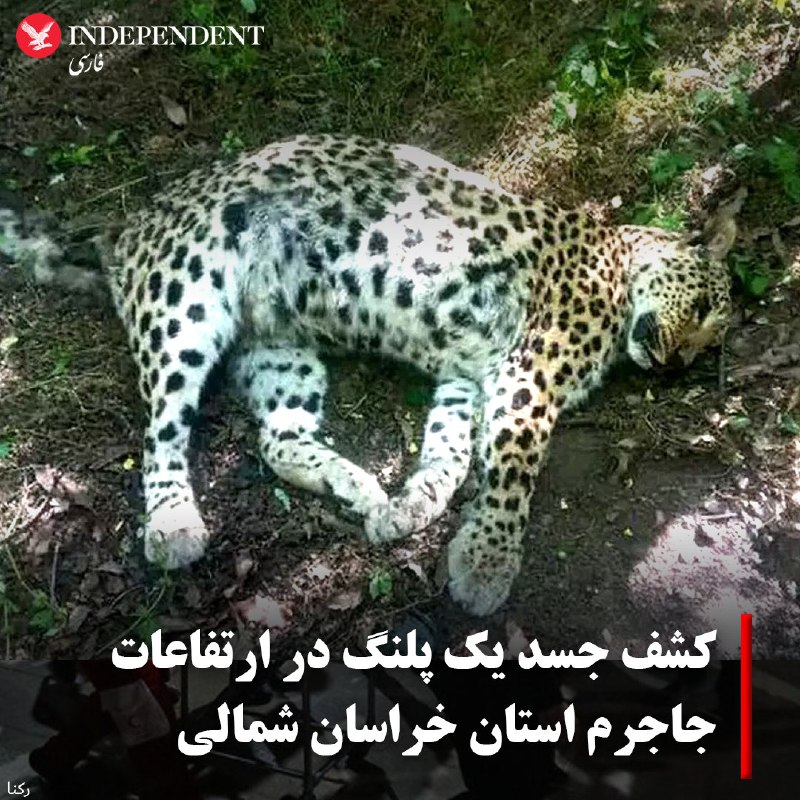 independentpersian (@indypersian) on X