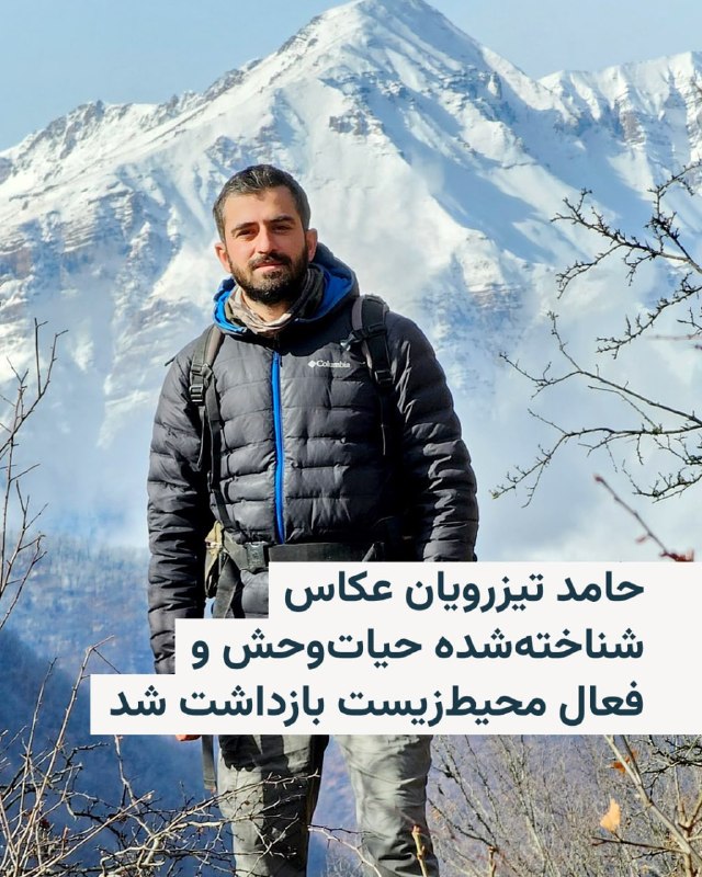 حامد تیزرویان، عکاس حیات‌وحش و فعال محیط زیست، در ساری بازداشت شده است.به گفته زینب رحیمی، روزنامه‌نگار حوزه محیط زیست، آقای تیزرویان روز ۱۴ اردیبهشت ۱۴۰۵، بازداشت شده و موبایل و دیگر وسایل الکترونیکی او ضبط شده است. اتهام مطرح‌شده علیه آقای تیزرویان «اجتماع و تبانی با هدف اقدام علیه امنیت ملی» عنوان شده است.بازداشت او در پی انتشار مطالبی انتقادی درباره کشتار معترضان در دی‌ماه و همچنین اعتراض به اعدام‌ها در شبکه‌های اجتماعی صورت گرفته است.آقای تیزرویان از عکاسان برجسته و سرشناس حیات وحش است و ثبت عکس‌های کمیاب از حیات وحش ایران از جمله خرس قهوه‌ای و مرال به عنوان گونه‌های‌ در معرض خطر انقراض، بخشی از کارنامه کاری این عکاس حیات وحش است.@VahidHeadline📡 @VahidOnline