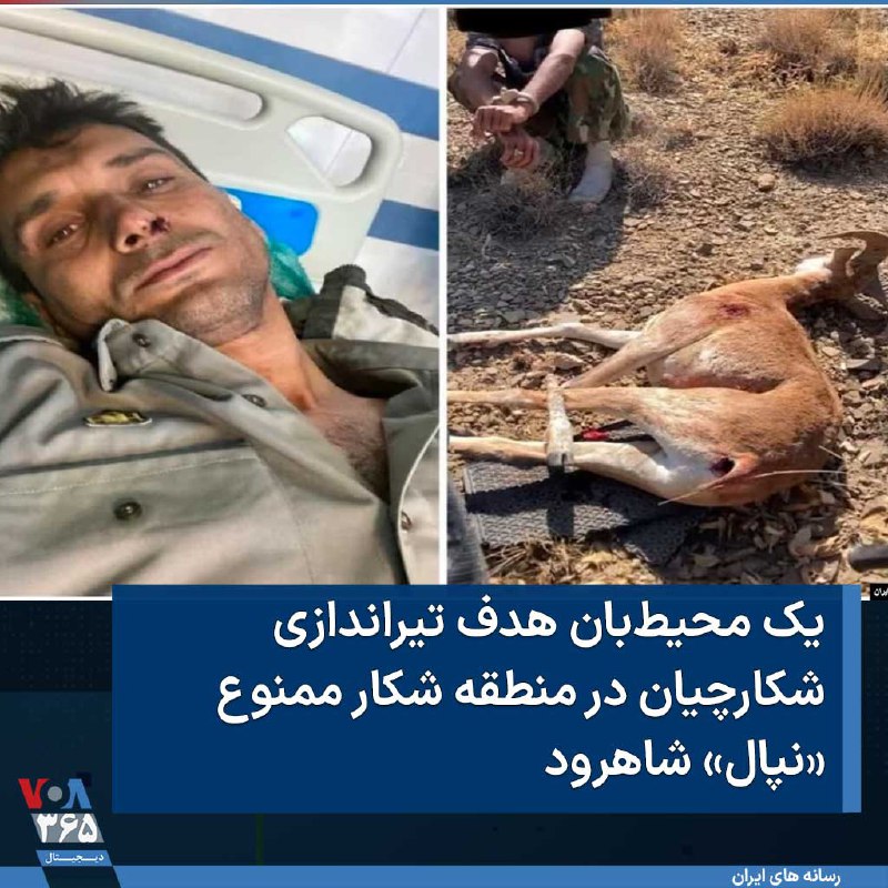 VOA Farsi صدای آمریکا (@VOAfarsi) on X