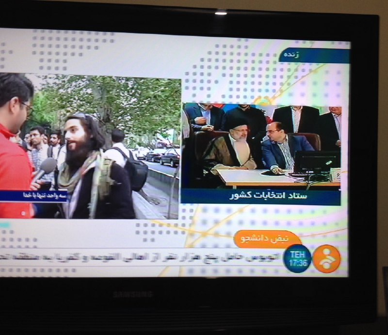 لاكپشت 🌟🌟