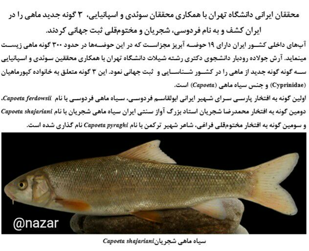 تسلا